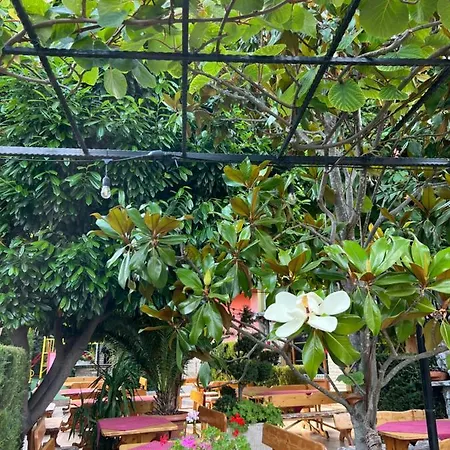 Jambo ゴールデンサンド